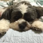 LeAnn Light - @leann.10.7 - Instagram