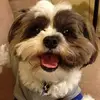 LeAnn Light - @leann.10.7 - TikTok
