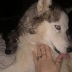 Leann Logan - @leann9487 - Instagram
