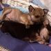 LeAnn Lott - Facebook