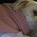 Leanne Love - Facebook