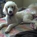 LeAnn Lowe - Facebook