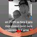 Cancanulysse Lehmann - Facebook