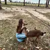 leann.marsh - @leannmarsh - TikTok