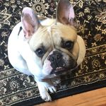 Leann Maxwell-Burr - @lalablisslife - Instagram
