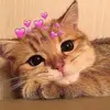 leannmay6 - @leannmay6 - TikTok