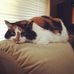 LeAnn McClain - Facebook