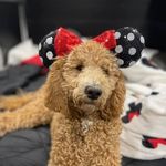 Leann Murray Shoffner - @mom2allwhoenter - Instagram