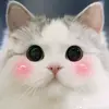 Leann Pugh - @leann.pugh2 - TikTok