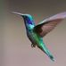 Leann Rasmussen - Facebook