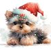 Leanne Rasmussen - Facebook