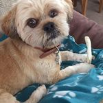 Leann Richards - @leann.richards.54 - Instagram