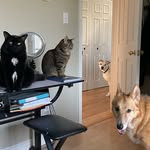 Leann Ryan - @leann022001 - Instagram