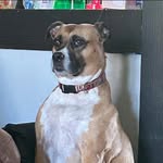 Leann E. Petschke-Schmidt - @leannelizabeth1982 - Instagram