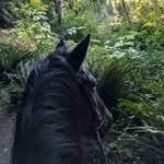 Leanne Boufford Schroeder - @leanne.schroeder.5 - Instagram