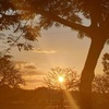 Leann Shields785 - @natson1969 - TikTok