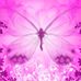 LeAnna Shields - Facebook