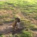 Leann Tyson - Facebook