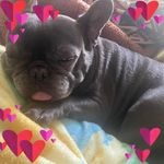Leanne Wallace - @leanne.wallace.792 - Instagram