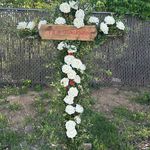 LeAnn Walters - @leann.walters.560 - Instagram