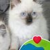 Leanne Watts - Facebook