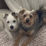Leanne Wilkinson - Facebook