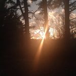 Leann Williamson - @leann_williamson02 - Instagram