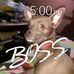 Leanna Armstrong - Facebook