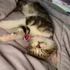 Leanna Black - @leanna.black7 - TikTok