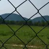 LeAnna Blevins - @sugar_and_spice._ - TikTok