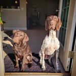 Leanna Pace - @mumford_and_son - Instagram
