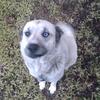 Leannaspace - @doglover11260 - TikTok