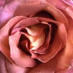 Leanne Addison - @laddisonart - Instagram