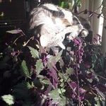 Leanne Baird - @momaneater - Instagram