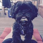 LeAnne Barnes - @leanne.barnes.7792 - Instagram