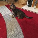 Leanne Barnes - @leanne.barnes.43 - Instagram