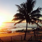 Leanne Barry- Fogarty - @leafog13 - Instagram