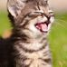 Leanne Beal - Facebook