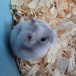 leanne becker - @leannebecker1586 - Instagram