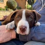 Leanne Best - @polly65b - Instagram