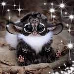 Leanne Best - @lmbest4950 - Instagram