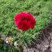Leanne Blanchard - Facebook