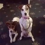 Leanne Booth - @leanne.booth.505 - Instagram