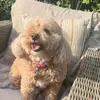 leanneboswell0 - @leanneboswell0 - TikTok