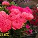 Leanne Bruce - Facebook