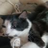 Leanne Bruce - @leanne.bruce8 - TikTok