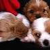 Leanne Burns - Facebook