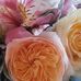 Leanne Burr - Facebook