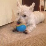 Leanne Burton - @leanne.burton.562 - Instagram