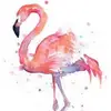leannecaton - @leannecaton - TikTok